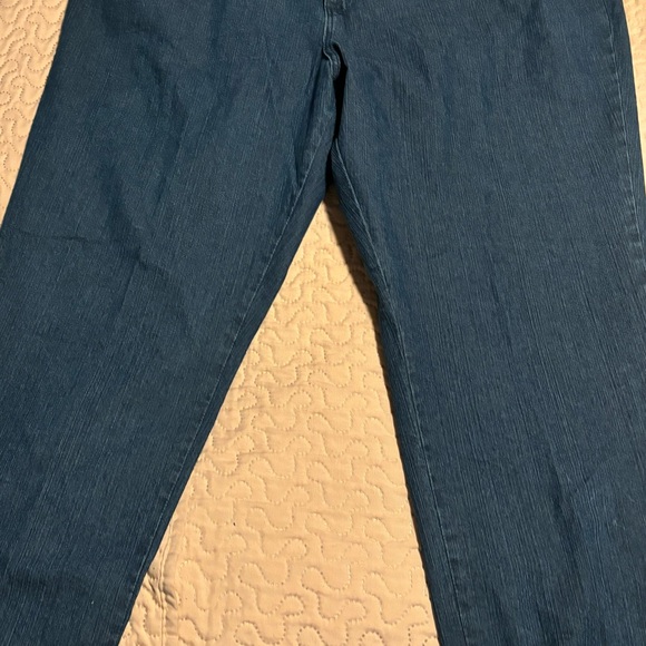 Kim Rogers Womens Jeans Straight Legs Size 22 Short Spandex Cotton - Picture 6 of 6